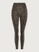Brown Contrast Cheetah
