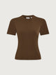 Teak Olive